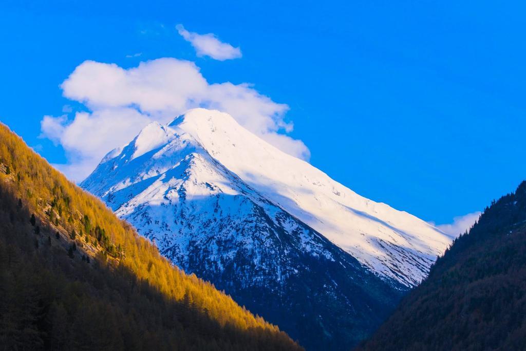 萨斯格伦德Monte Rosa公寓 外观 照片